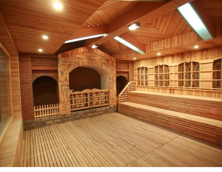 sauna and spa system
